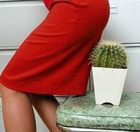 Від Геморою