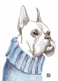 Открытка боксер