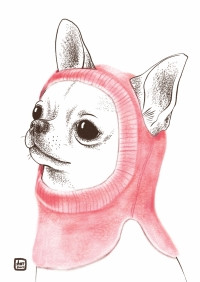 Открытка Чихухуа