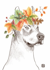 Открытка Домерман