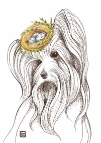 Открытка Йоркшир терьер