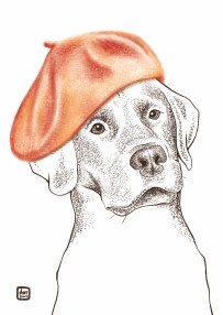 Открытка Лабрадор