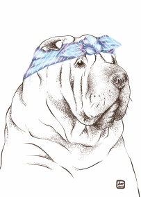 Открытка Шарпей