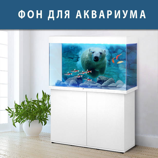 

Наклейка с рыбами и морской флорой для аквариума 40х65 см., Голубой
