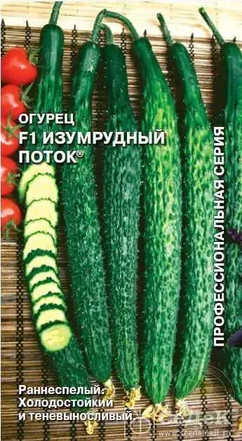 

Семена Огурец партенокарпический Изумрудный поток F1, 0,2 грамма Седек