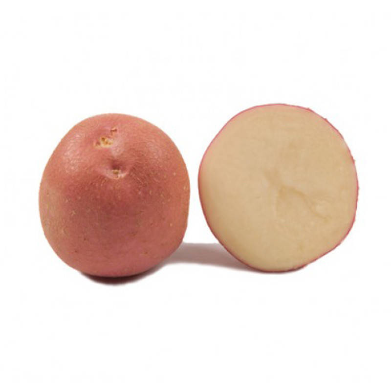 

Семенной картофель Инфинити, Голландия / Среднеранний / 1я репродукция 5