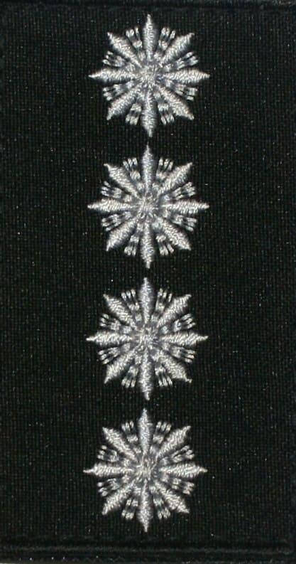 

Погон капитана полиции