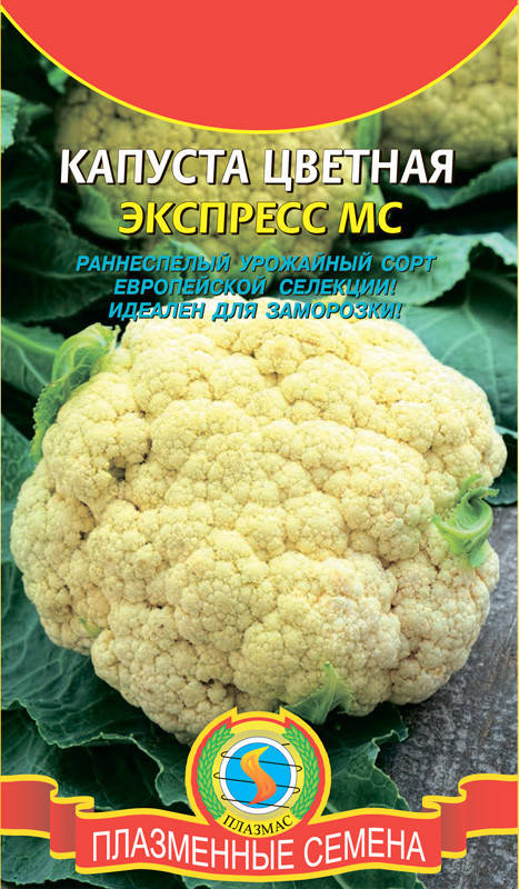 

Капуста цветная Экспресс МС 0,3 г (Плазменные семена)