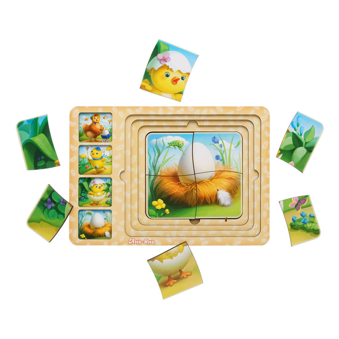 

Пазл - сортер: Этапы развития курочки