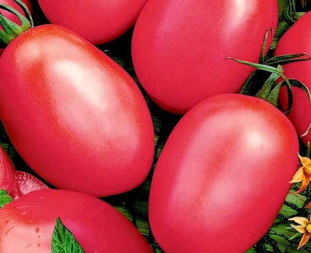 

Семена томата Де-барао розовый