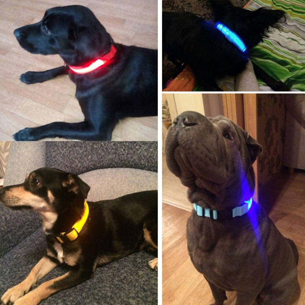 

Светящийся ошейник с LED подсветкой, USB зарядка S