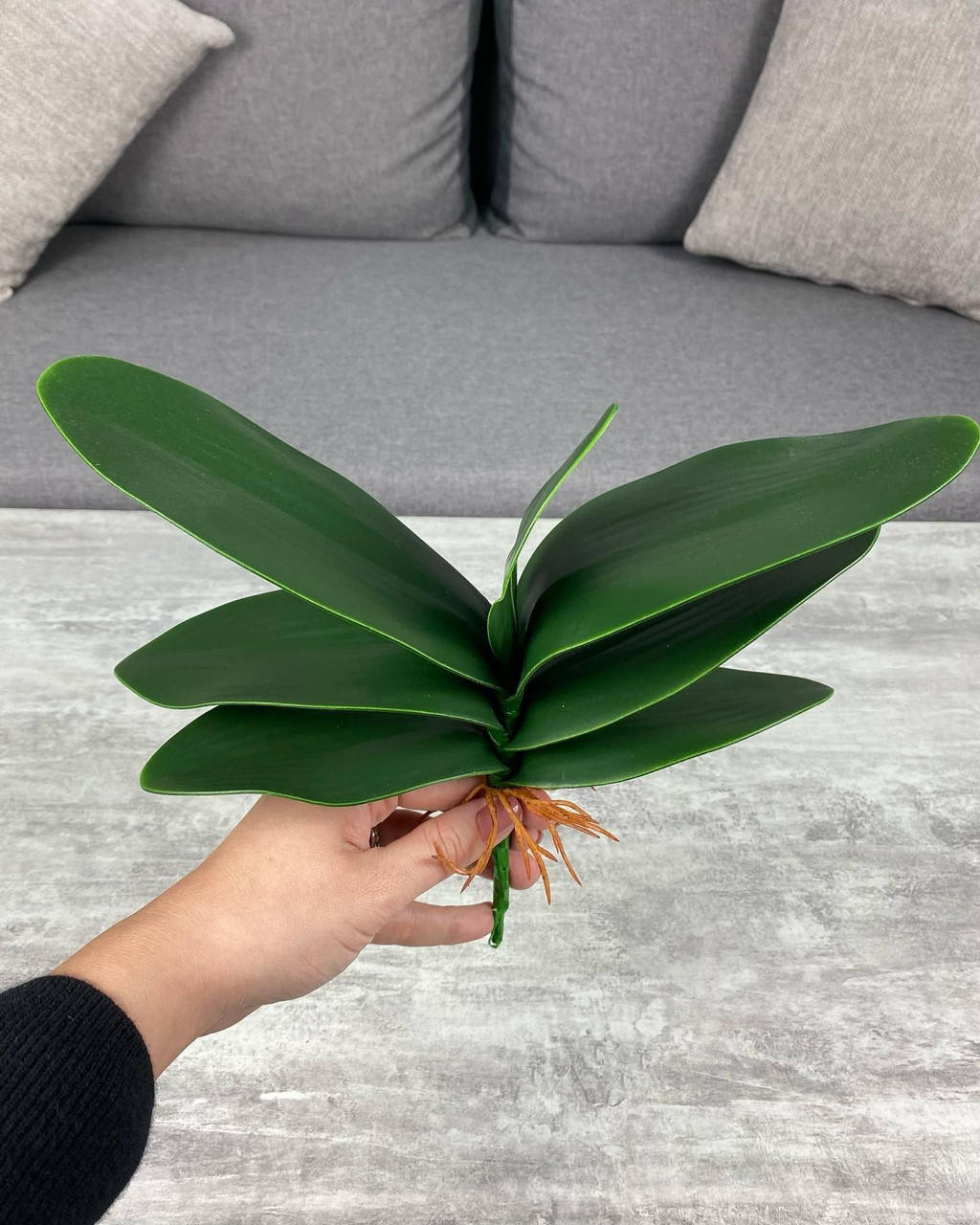 

Лист орхидеи средний, 28 см, зеленый, 541, Зелёный