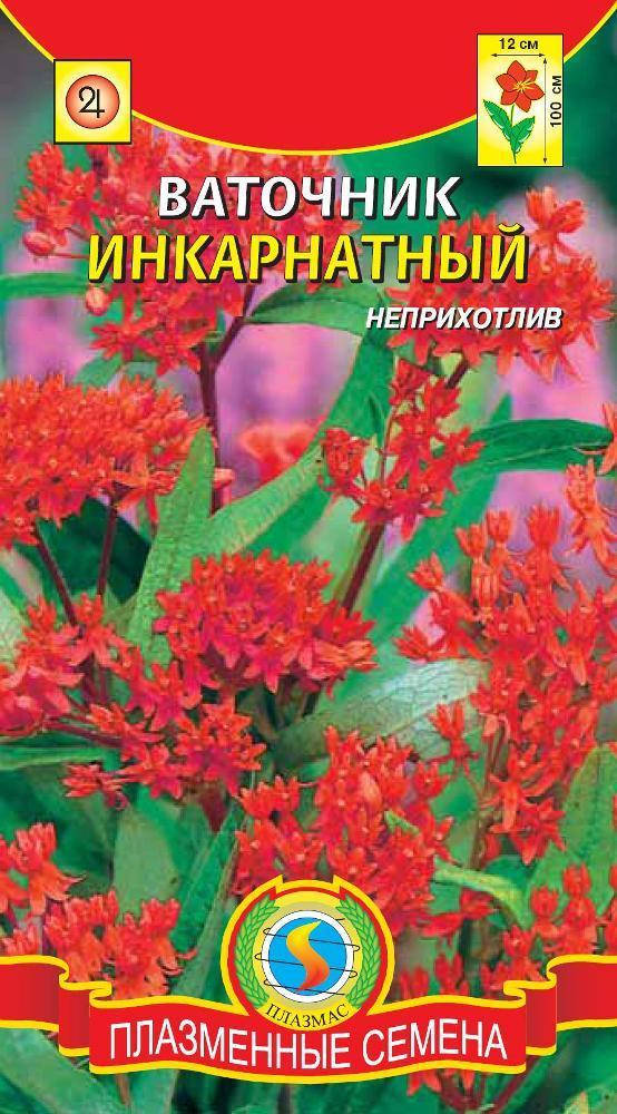 

Ваточник Инкарнатный 9 шт (Плазменные семена)
