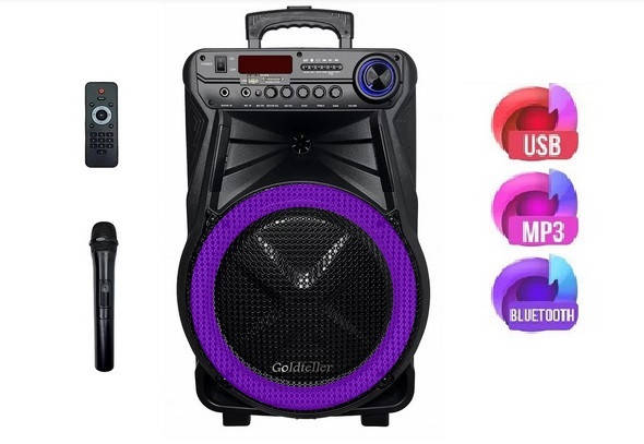 

Автономная акустика Sky Sound SS-7171 (1mic-USB-BT-FM)