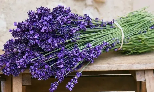 

Набор алмазной мозаики Букет лаванды 20x30 см