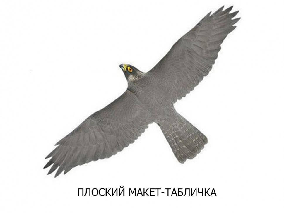 

Визуальный отпугиватель птиц ХИЩНИК-1