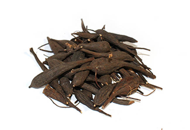 

Лабазник вязолистный корень