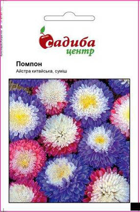 

Семена Астра китайская Помпон смесь 0,3 грамма Hem Zaden, Разные цвета