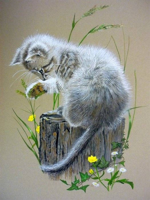 

Алмазная мозаика Игривый котенок 30*40см без рамки в коробке (C507)