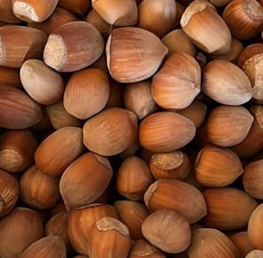 

Фундук в скорлупе сорт Вебба+Лембарт десертный средний размер 1 кг