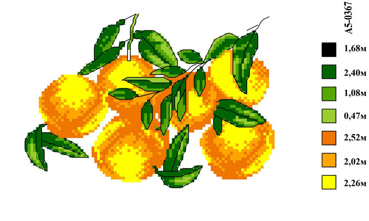 

Набор канва с нитками А5 037 Апельсины