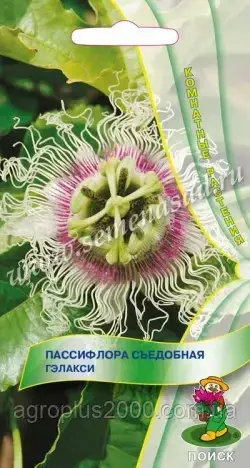 

Семена Пассифлора съедобная Гэлакси 0,2 грамма Поиск