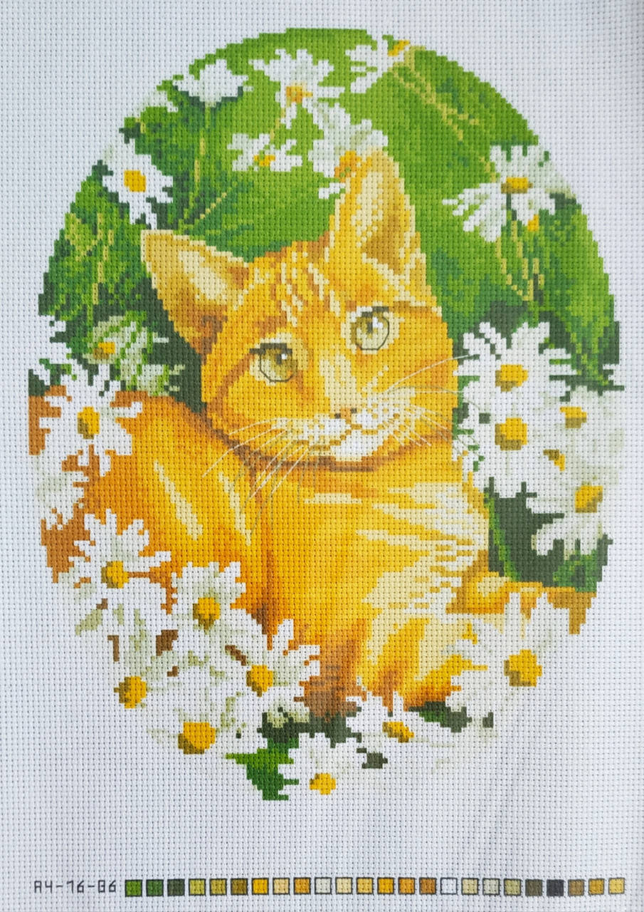 

Схема на канве (А-4) Котик