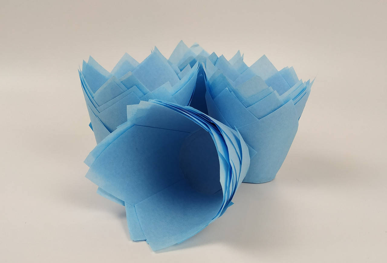 

Бумажная форма Тюльпан