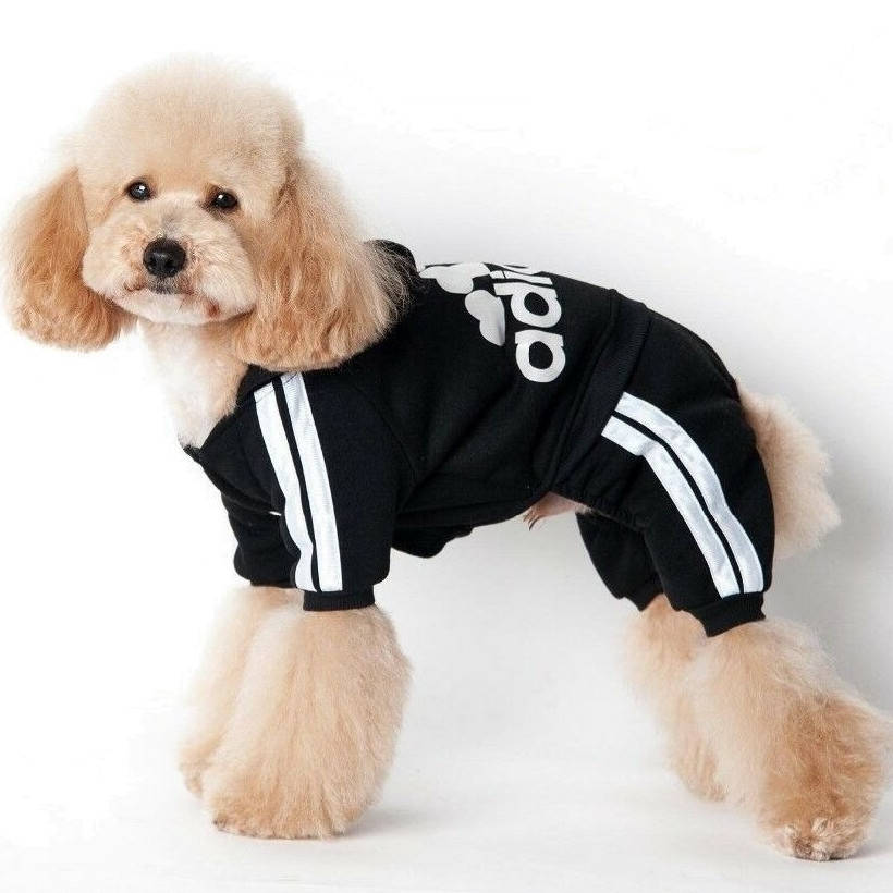 

Спортивный костюм для собак «Adidog», черный, одежда для собак мелких, средних пород