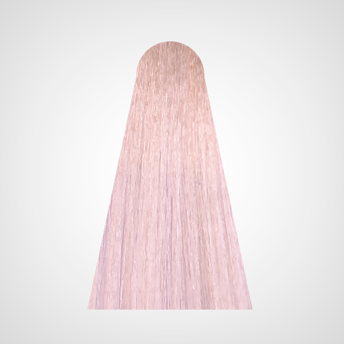 

Крем-краска для волос LeCher Geneza, Лешер 10U(10.00U) 100 мл