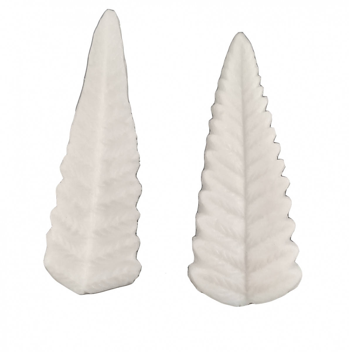 

Вайнер Лист папоротника 2