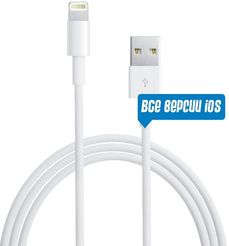 

Кабель USB Apple iPhone Lightning to USB 2.0 (MD818) Все версии iOS! White, Белый