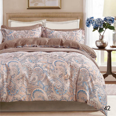 

Постельное белье Isleep семейный Сатин Twill 42 (42_sm_Isleep)