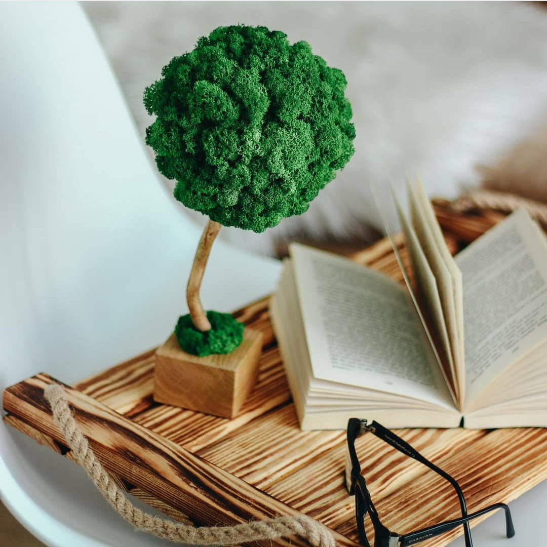 

Топиарий (эко-дерево) высотой 30см в квадратном горшке