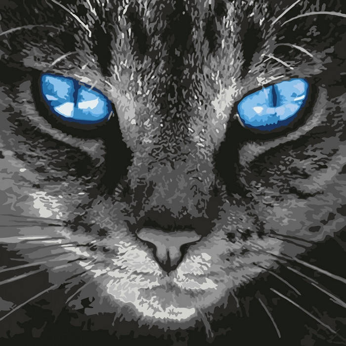 

Картина по номерам. Пронзительный взглад в термопакете 40*40см ТМ Идейка Украина (KHO4177)