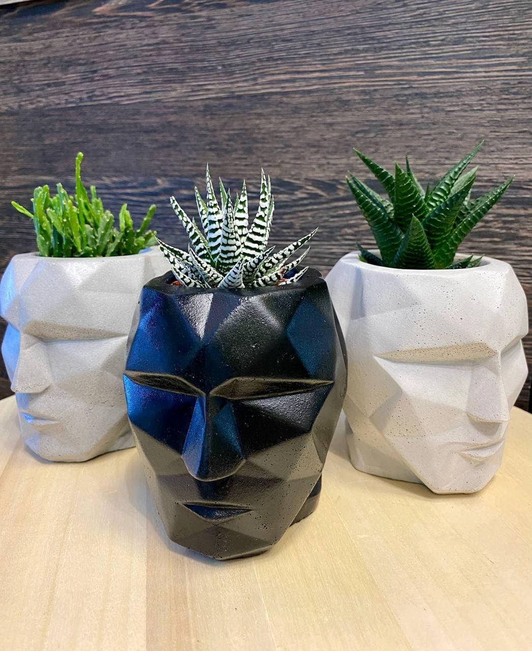 

Горшок для кактусов, суккулентов, мха голова из бетона - Атлант