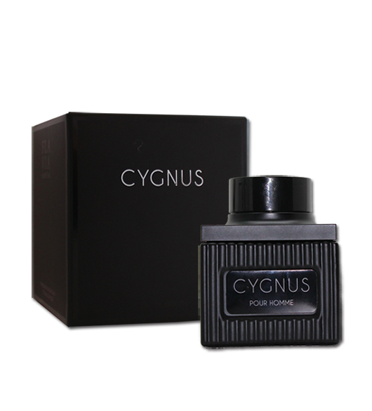 

Парфюмированная вода для мужчин Flavia Cygnus 100ml