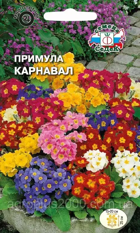 

Семена Примула бесстебельная Карнавал смесь 0,02 грамма Седек, Разные цвета