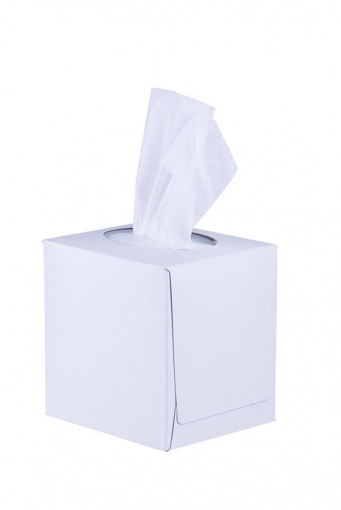 

Салфетка косметическая 20х17 см в квадратной коробке КУБ, 2-х слойная белая, Eco Point, 75 шт/уп