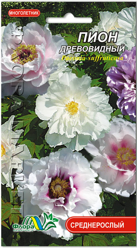 

Пион древовидный смесь