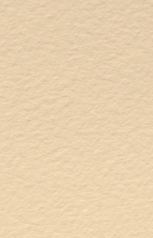 

Бумага для пастели Tiziano A4 бежевый № 03 banana 160 г / м2 среднее зерно Fabriano, 164103