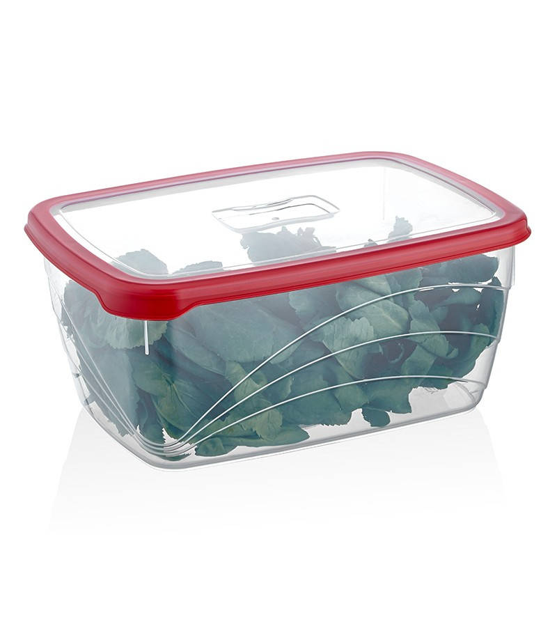 

Контейнер пластиковый 4,6л глубокий