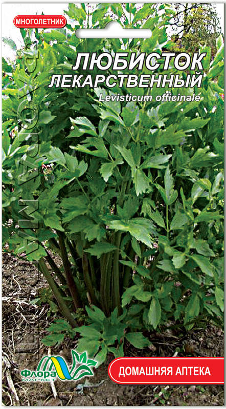 

Семена Любисток лекарственный 0,25г. Флора маркет