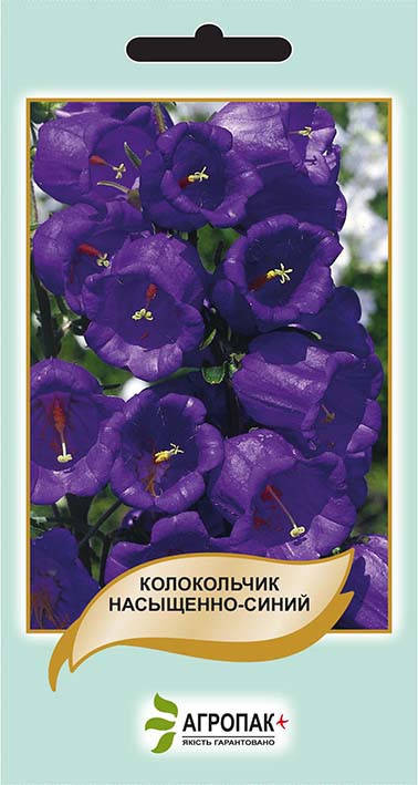

Семена цветов Колокольчик насыщенно-синий 0,1г. Агропак плюс