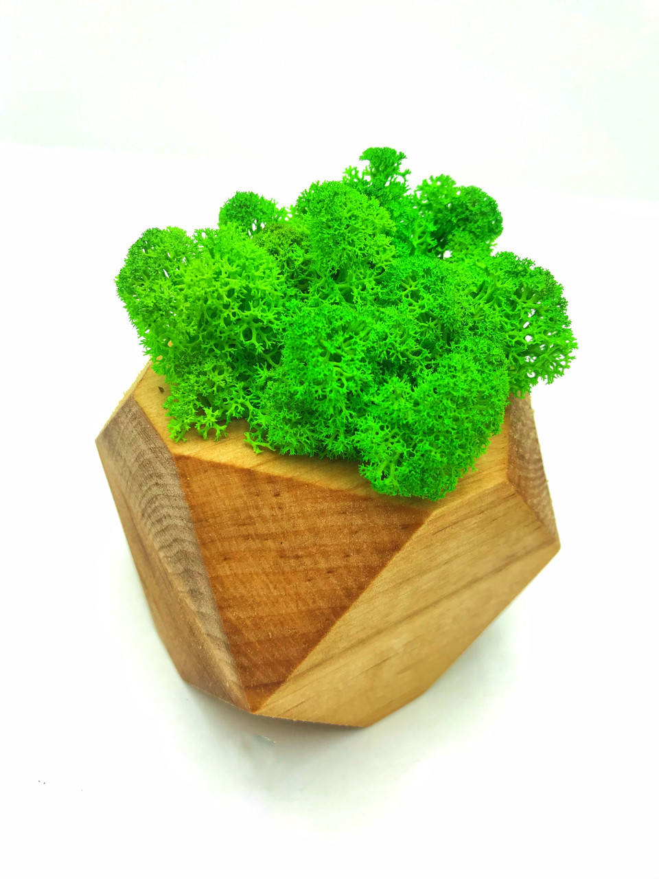 

Стабилизированный мох салатовый SO Green Соу Грин в горшке из дерева шестигранник 8см х 8см 79