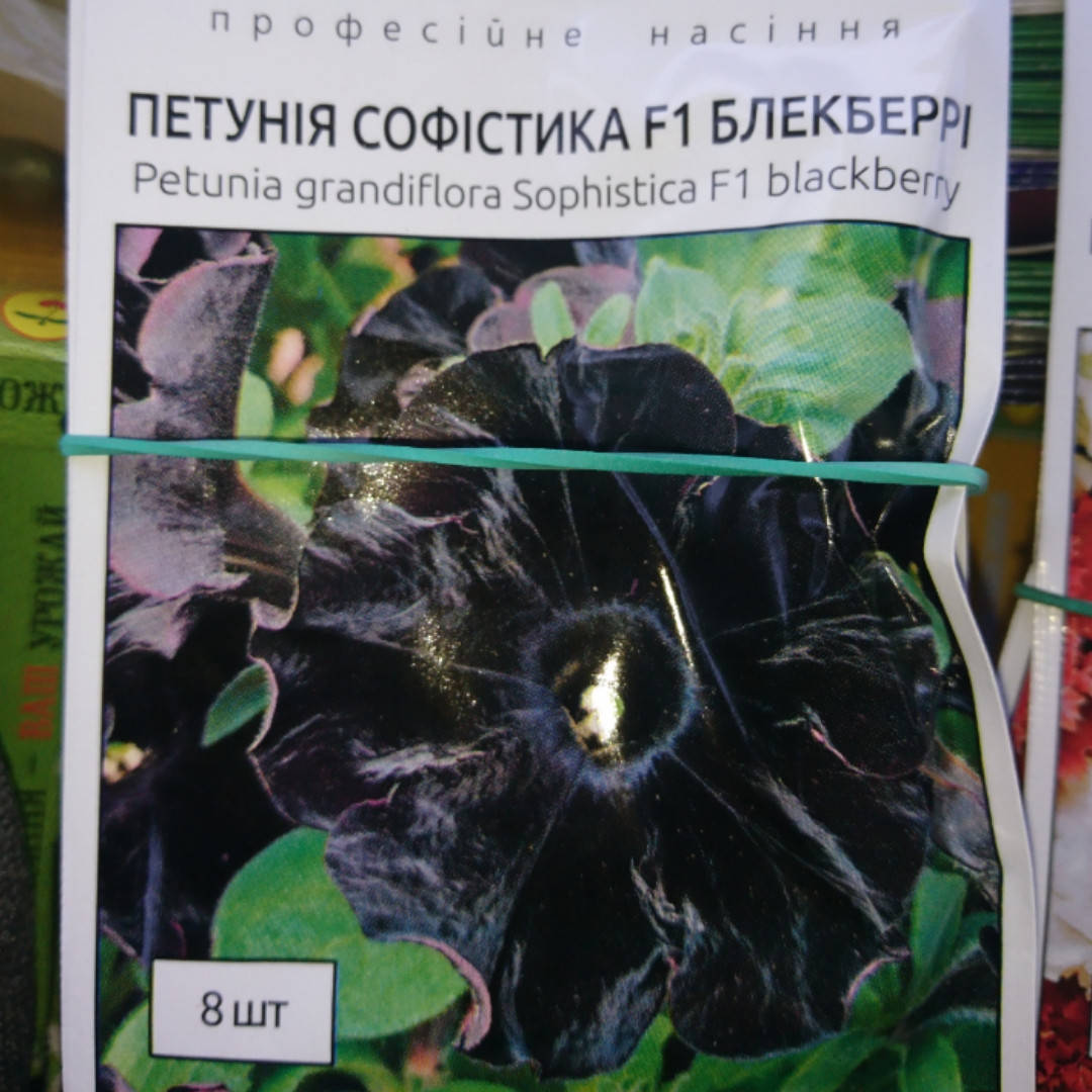 

Петуния Софистика F1 блекбери, 8 штук, Черный