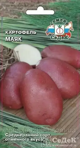 

Семена Картофель Маяк 0,02 грамма Седек