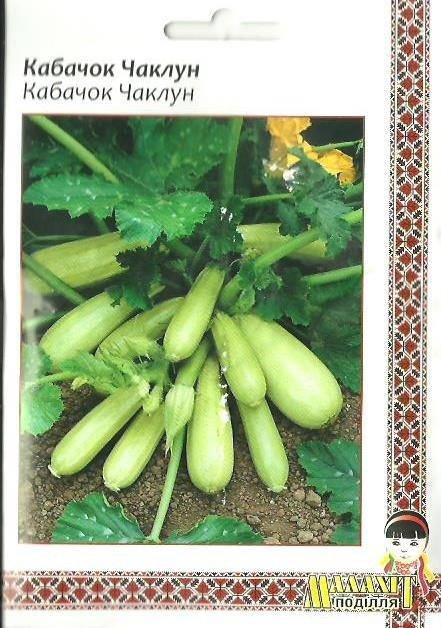 

Семена кабачка "Колдун" в профпакете