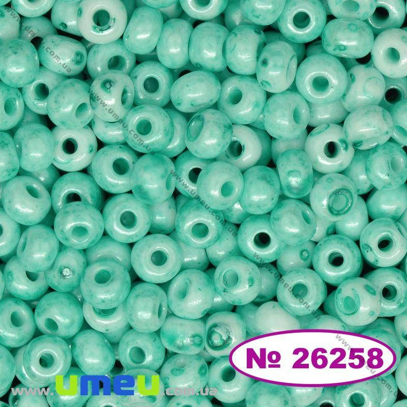 

Бисер чешский 4/0, №26258, Зеленая акварель, Мелафир, 5 г (BIS-034263)