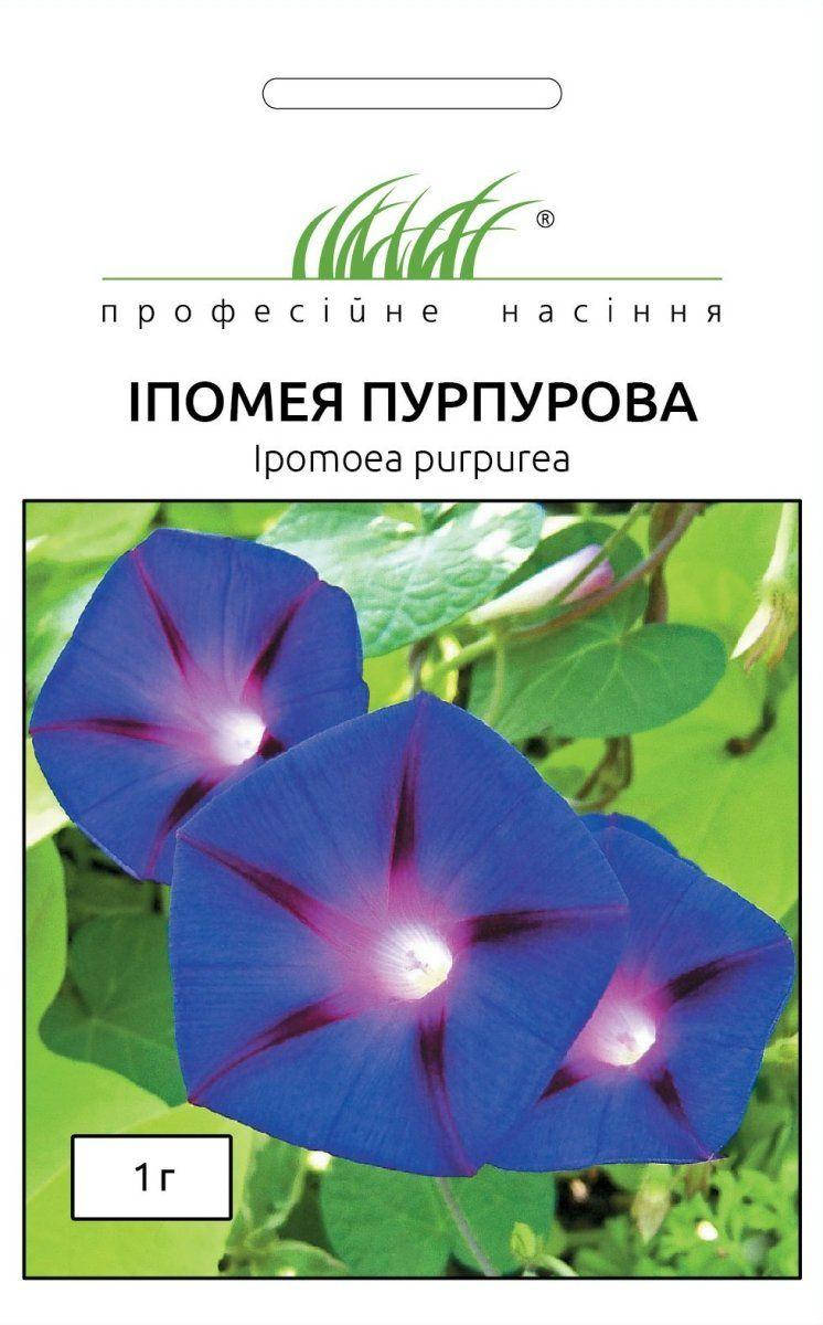 

Цветы Ипомея Пурпурная 1 гр. 121861